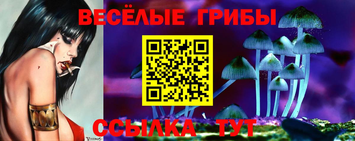 Орёл  Галлюциногенные грибы ЛСД  Вход с VPN 