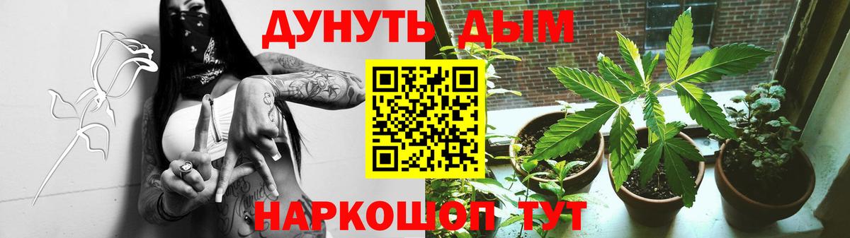 Марихуана ГИДРОПОН Орёл